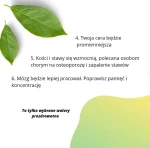 herbata-biala-bio-flavo-C.jpg