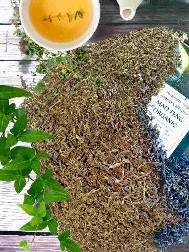 Green tea Mao Feng Organic 100g Bio-Flavo