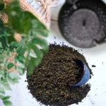herbata-milk-oolong-premium-flavo-kasia-A4.jpg