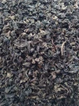 herbata-oolong-dark-flavo-A4.jpg