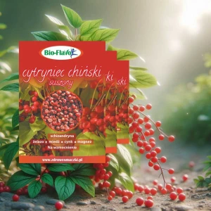 Schizandra Chinese Dried 100g