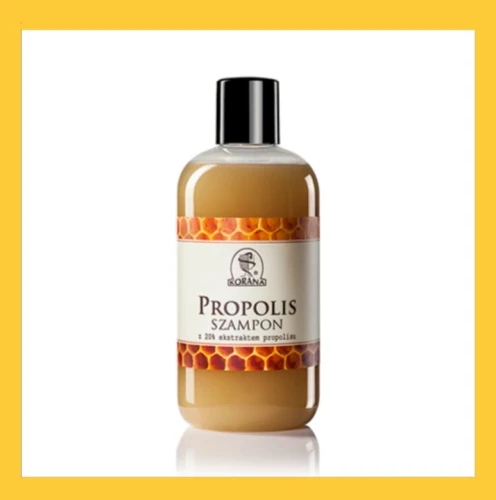 SZAMPON PROPOLISOWY 300ML KORANA