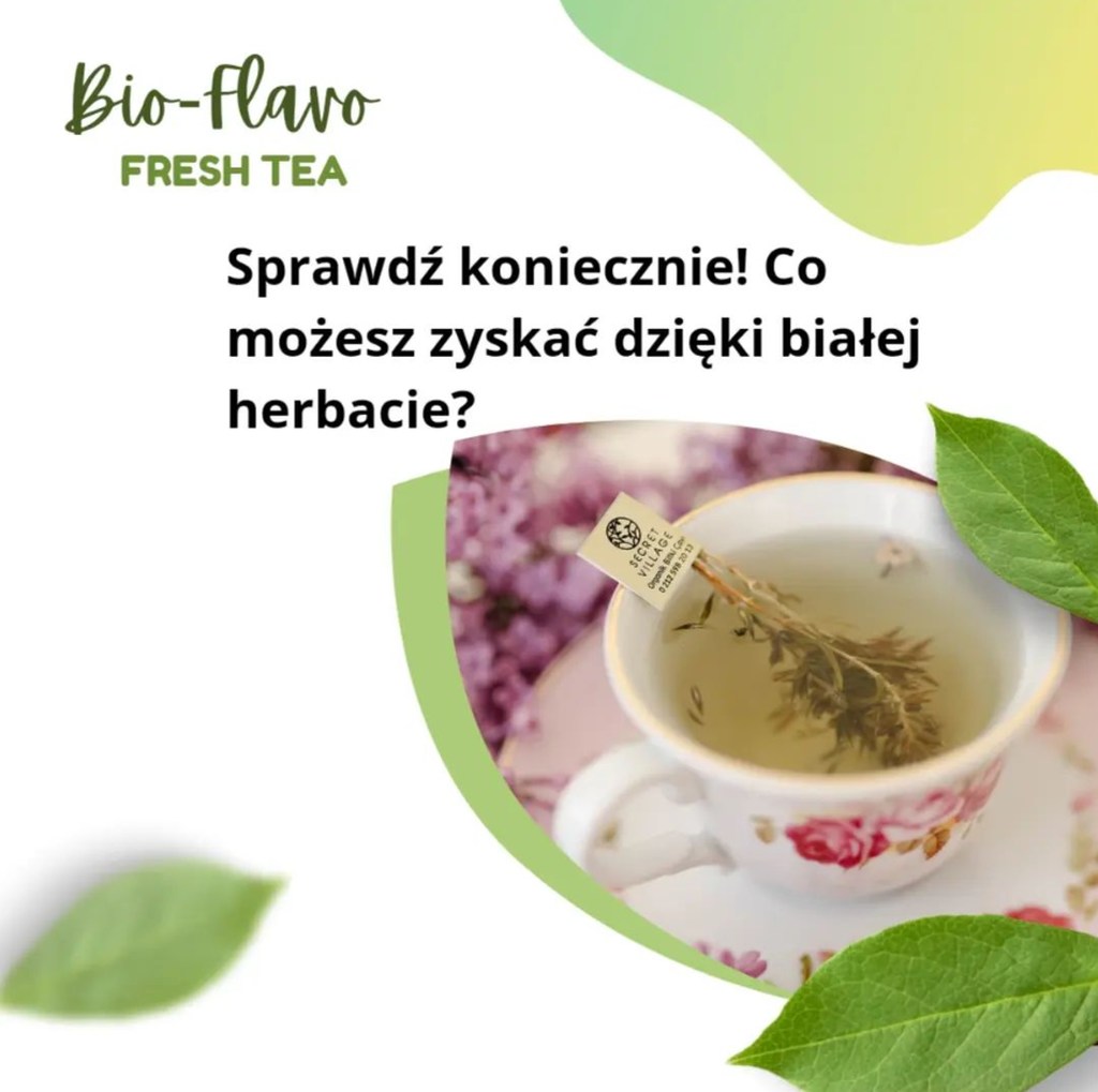 Biała Herbata - Moc Katechin